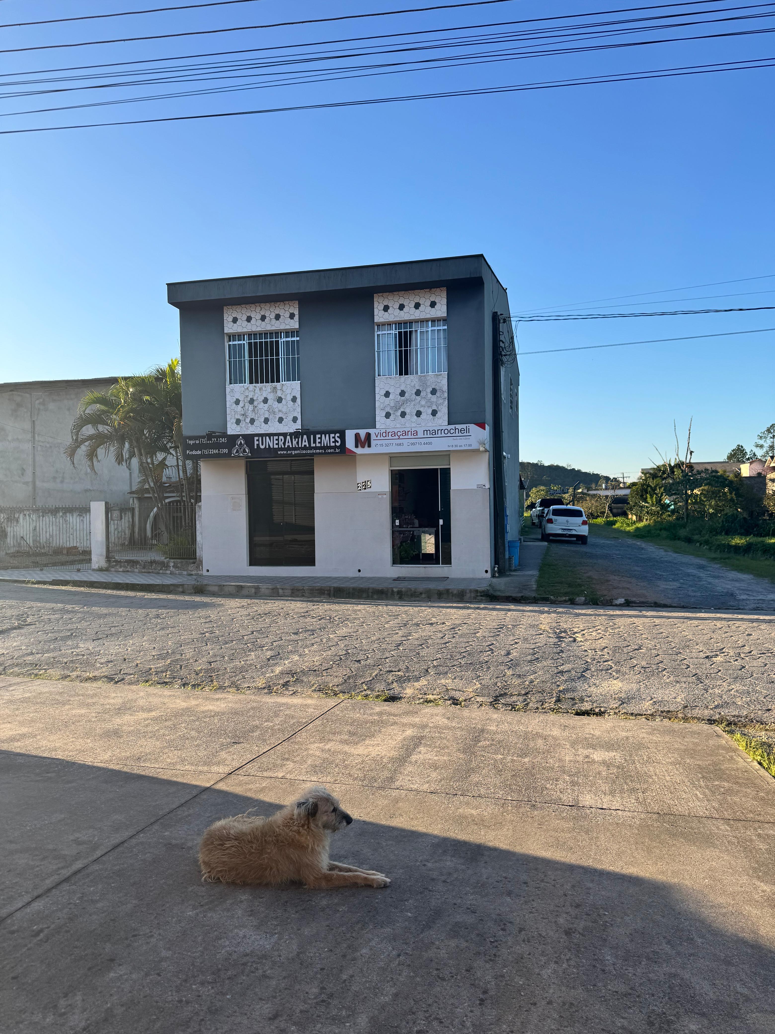 Galeria