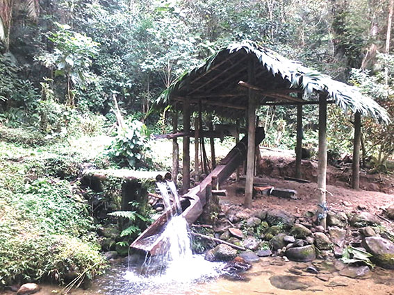 Galeria