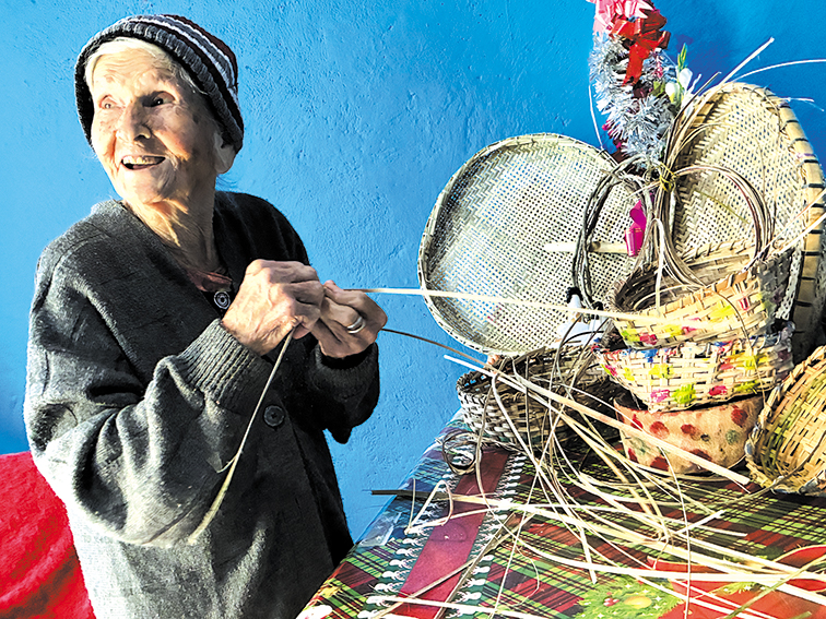 Memórias do Ribeirão da Anta